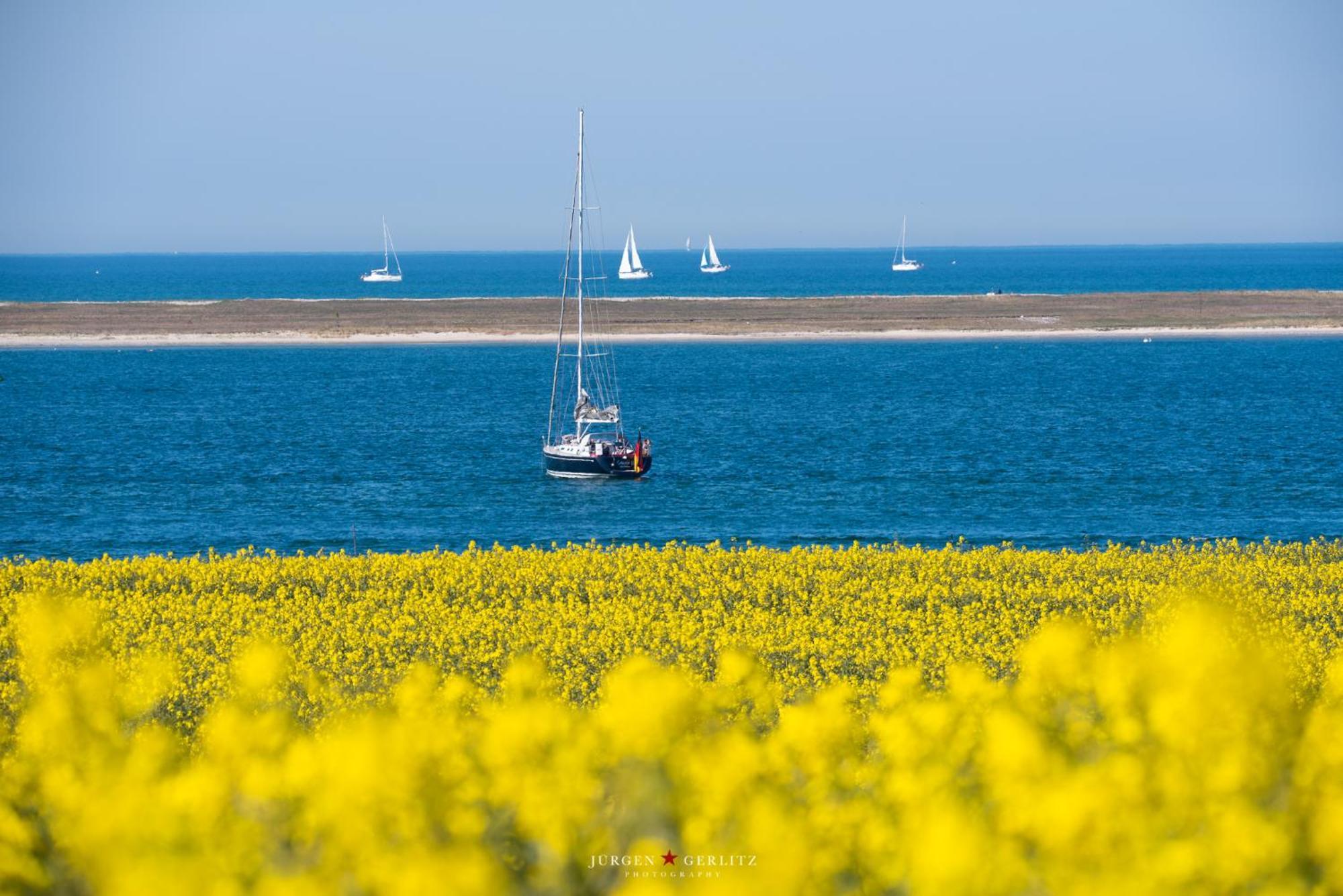 Urlaub Mit Ostseeblick, Schwimmbad, Sauna & Direkte Strandlage Kronsgaard 외부 사진