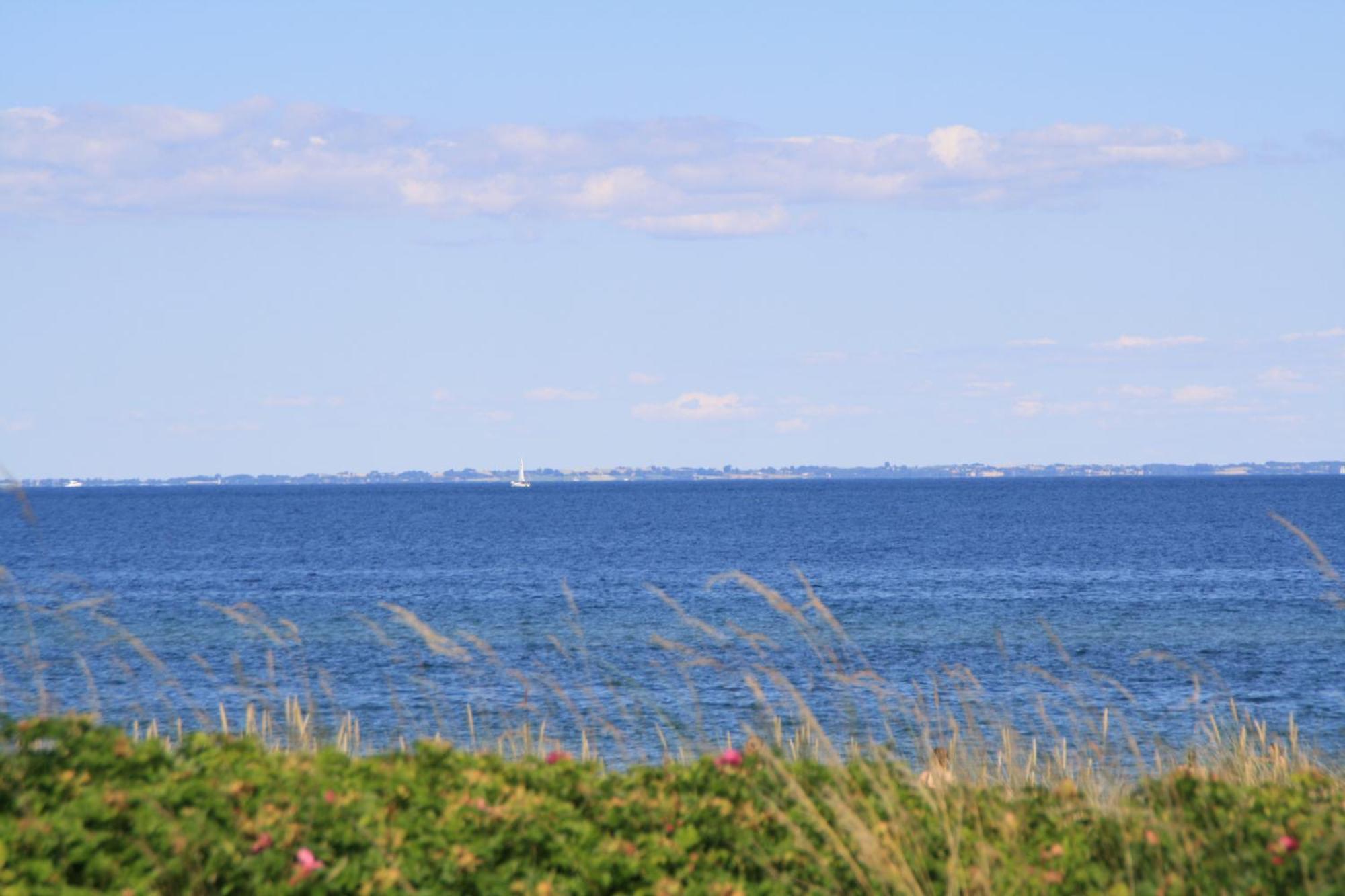 Urlaub Mit Ostseeblick, Schwimmbad, Sauna & Direkte Strandlage Kronsgaard 외부 사진